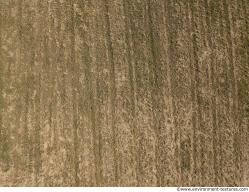 Photo Textures of Field 